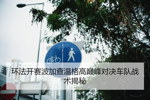 环法开赛波加查温格高巅峰对决车队战术揭秘
